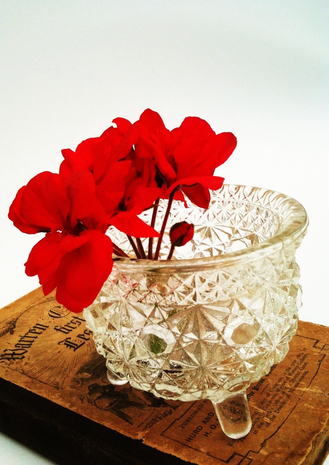Vintage Crystal Diamond Point and Hobstar Toothpick Holder.