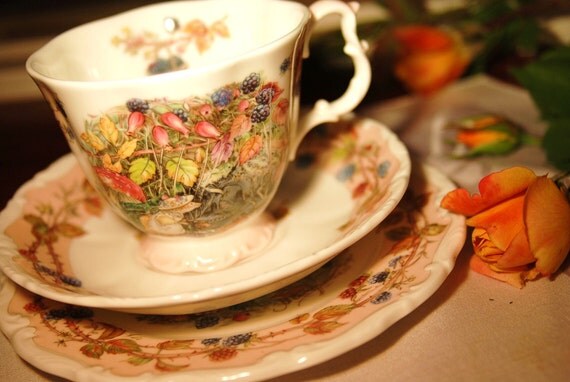Charming Royal Doulton Autumn Brambly Hedge Tea set by DadsTeacups