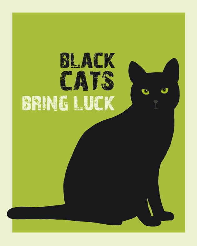 Black cats bring luck