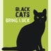 Black cats bring luck