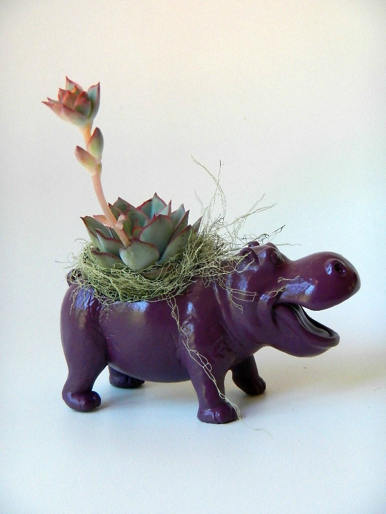 Plum Purple Hippopotamus Planter - Mini Modern Art Centerpiece