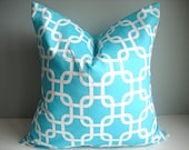 18x18 Designer Pillow In Gotcha Aqua - Front And Back