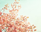 Spring Photography - peach mint green dogwood tree blossoms branch nature wall prints shabby chic photo - 8x12 Photograph, "A May Morning"