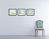 Set of 3 11x14 Photographs - mint yellow photo set three - wall art prints teal blue green turquoise - nature photography birds - mint decor