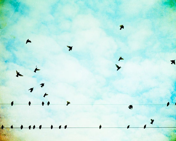 Bird Photography - blue aqua decor - birds wire flying - white clouds sky - nursery photo - 8x10 Photograph, "On Wings of Joy We'll Fly"