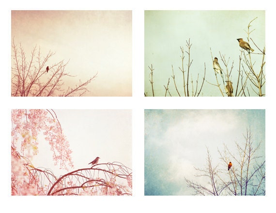 Bird Photography Set - Four 5x7 Photographs - nursery art prints - bird tree - pastel pink pale blue green teal white - baby boy girl photos
