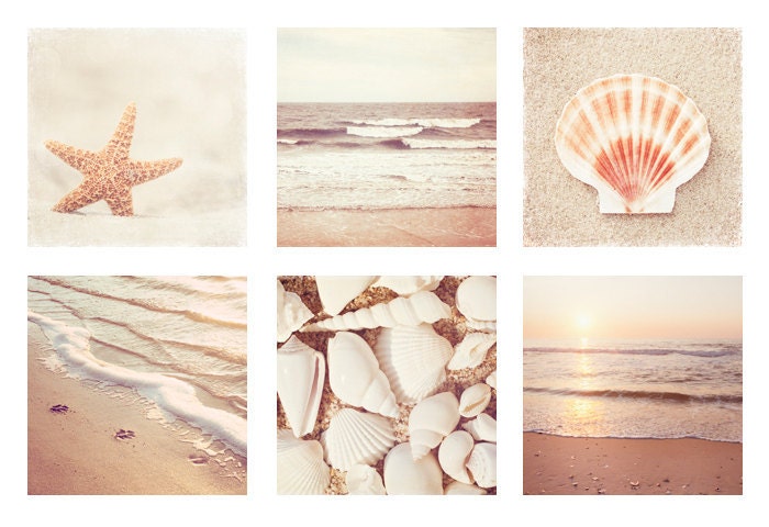 Beach Photo Set - Six 5x5 Photographs - beige neutral cream white - seashells photography - ocean sea shells - coastal wall art prints
