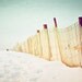 Beach Photography - winter photography coastal wall art decor blue seashore photograph sea shore yellow blue white - 8x12 Photograph