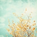 Nature Photography - tree wall art mint green print yellow gold teal turquoise blue light botanical - 11x14, 8x10 Photo, "Gentle Whisper"