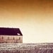 Large Photography - brown landscape beige black - neutral barn house - rustic wall art print cream - fine art photography - 24x36 Photograph