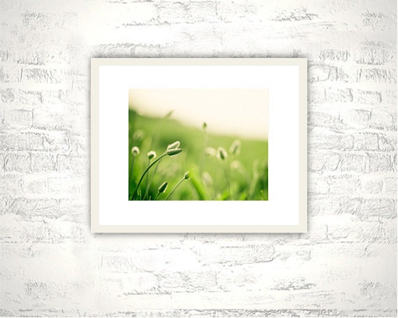 Nature Photography - green art fine art photography - botanical art prints - green decor fine art photo white - 8x10 Photograph, "The Dance"