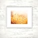 Nature Photography - gold wall art - fine art photography - mustard yellow photography - autumn fall botanical art prints - 8x10 Photograph