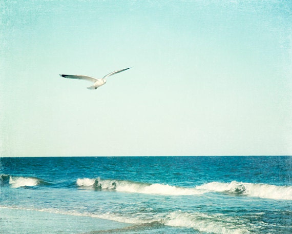 Large Beach Print - 24x30 Photography - sea blue aqua seagull ocean white seashore bird photograph coastal wall art nautical, "Sea Breeze"