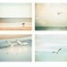 Seagull Bird Photography Set - beach bird photo print set - pastel pale bird flying sky - ocean wall art seashore - Four 8x10 Photographs