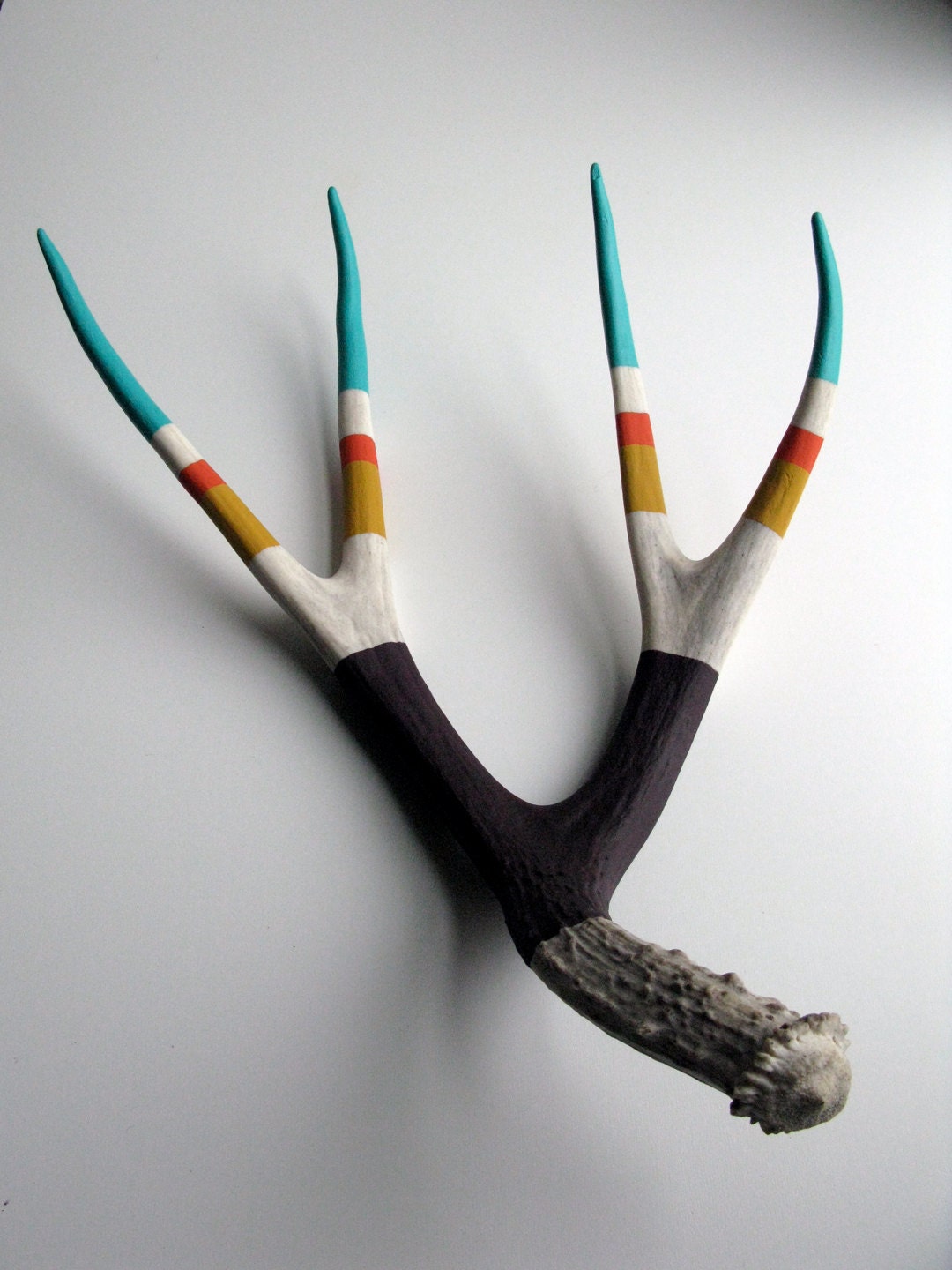 Turquoise, Orange, Yellow and Purple Striped Mule Deer Antler