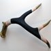 Gold, Peach and Purple Striped Deer Antler