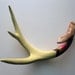 Green, Purple, Gold & Fuchsia Painted Chevron Antler - Large