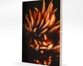 On Fire 8x12  eco bamboo fine art print, abstract modern home decor, island, ocean fun