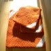 Crocheted Trivet Set - Burnt Orange and White, Potholders