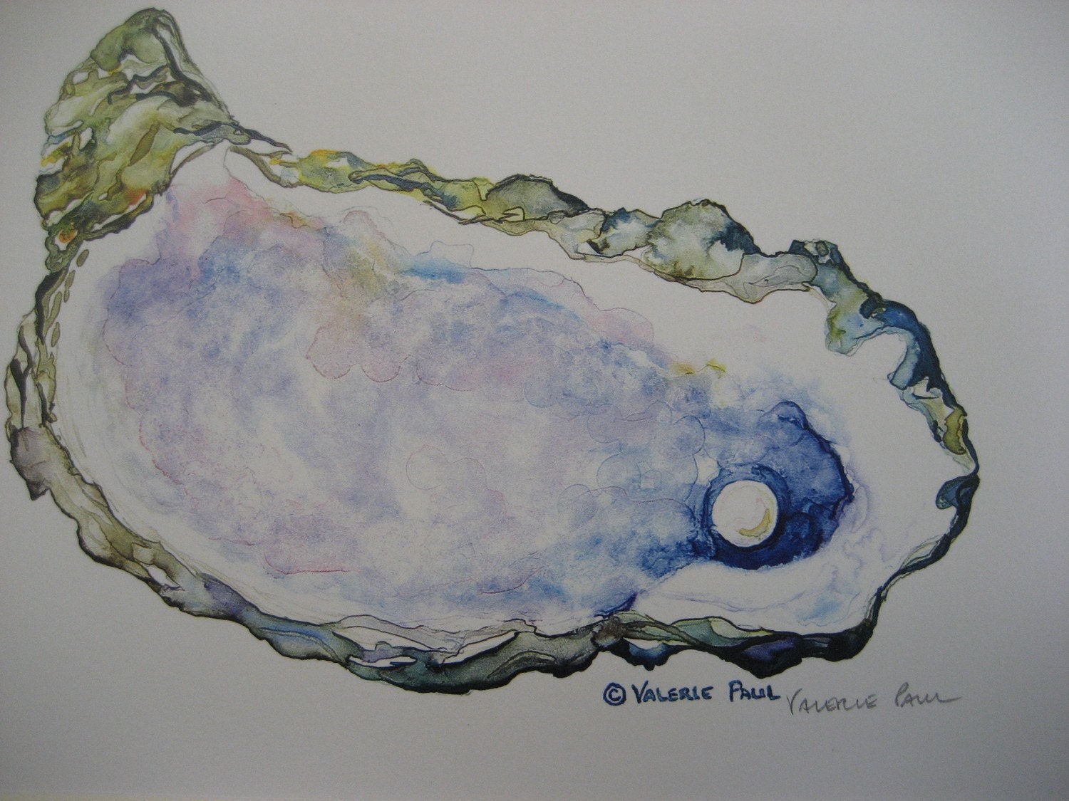 Oyster Watercolor Print