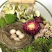 Dried Flower Arrangement, Petite Pail