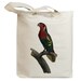 Retro Parrot 19 Eco Friendly Canvas Tote Bag (id5121)
