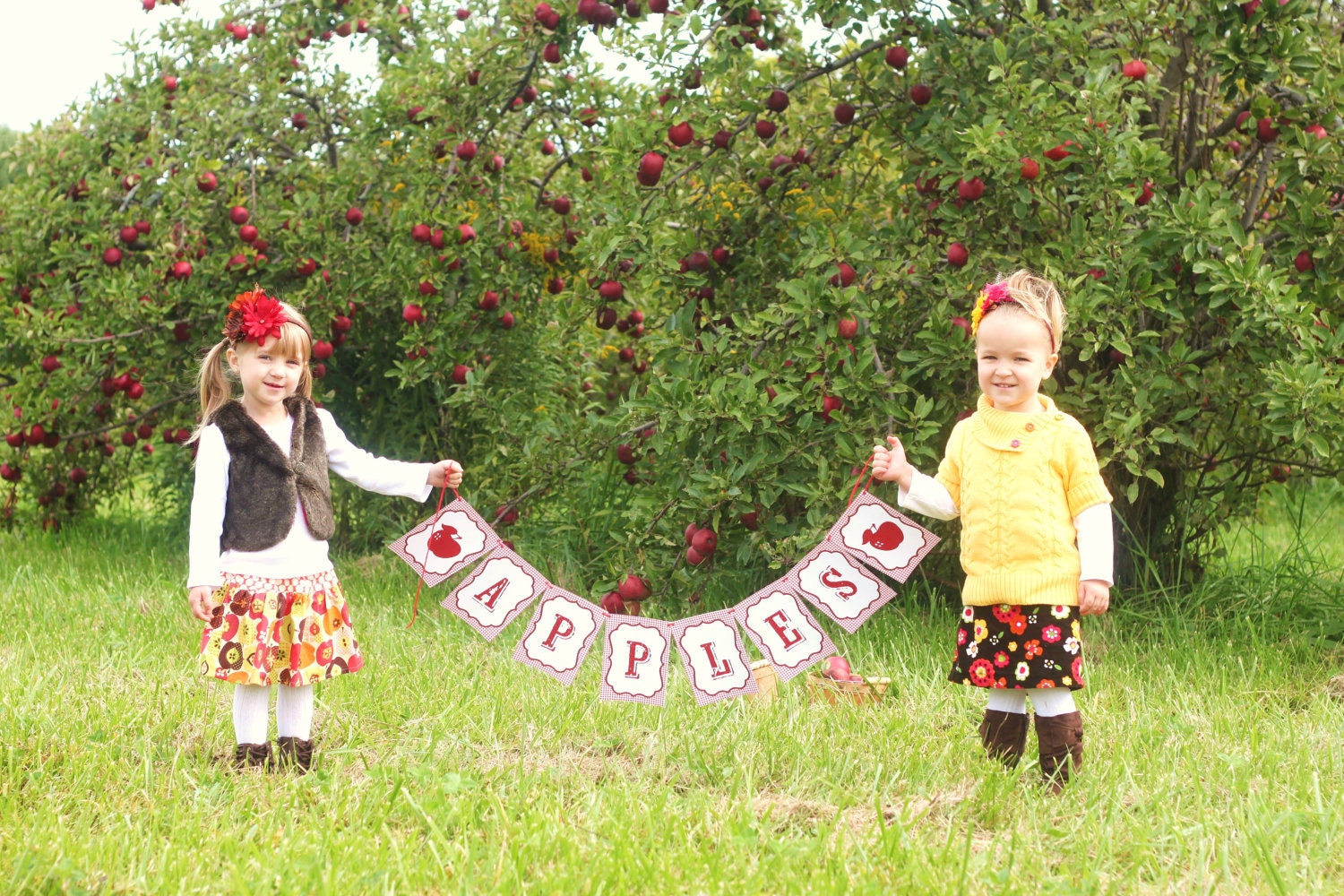 CUSTOM Printed Banner  Fall Harvest Apple