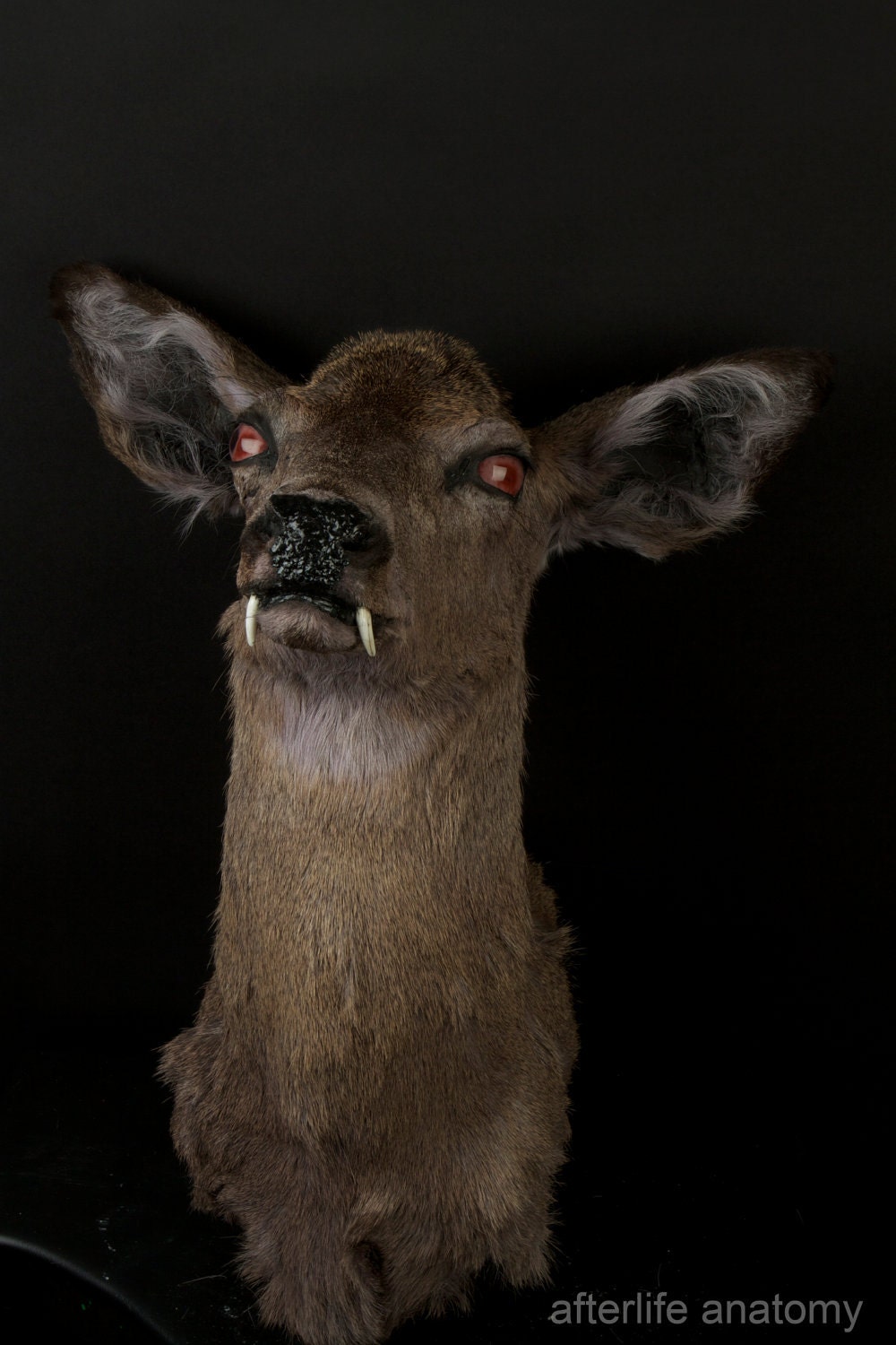 SALE -Mutant fanged evil vampire devil deer taxidermy mount rogue taxidermy exhibited at La Luz de Jesus Gallery