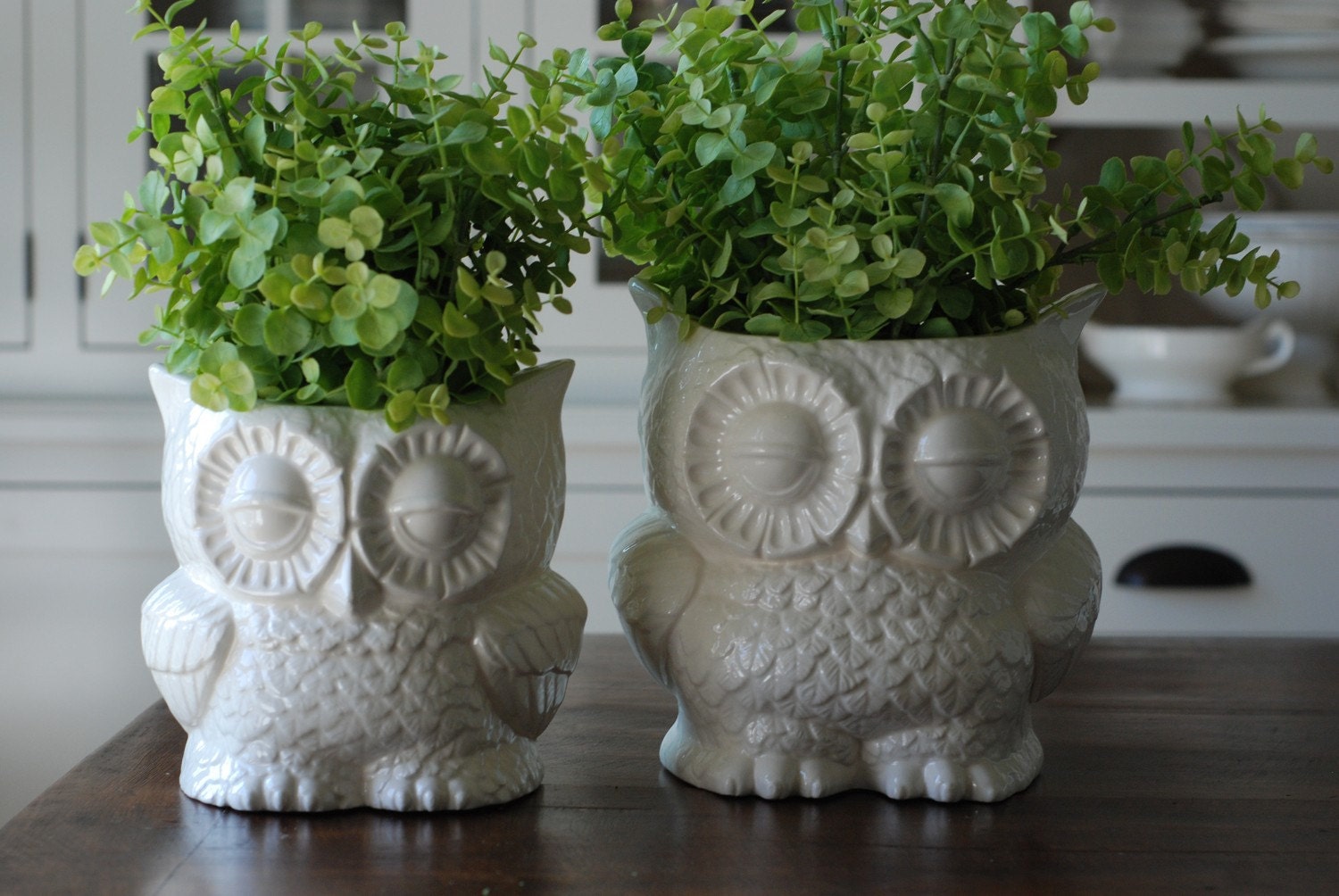 handmade modern - vintage owl planters (medium size)