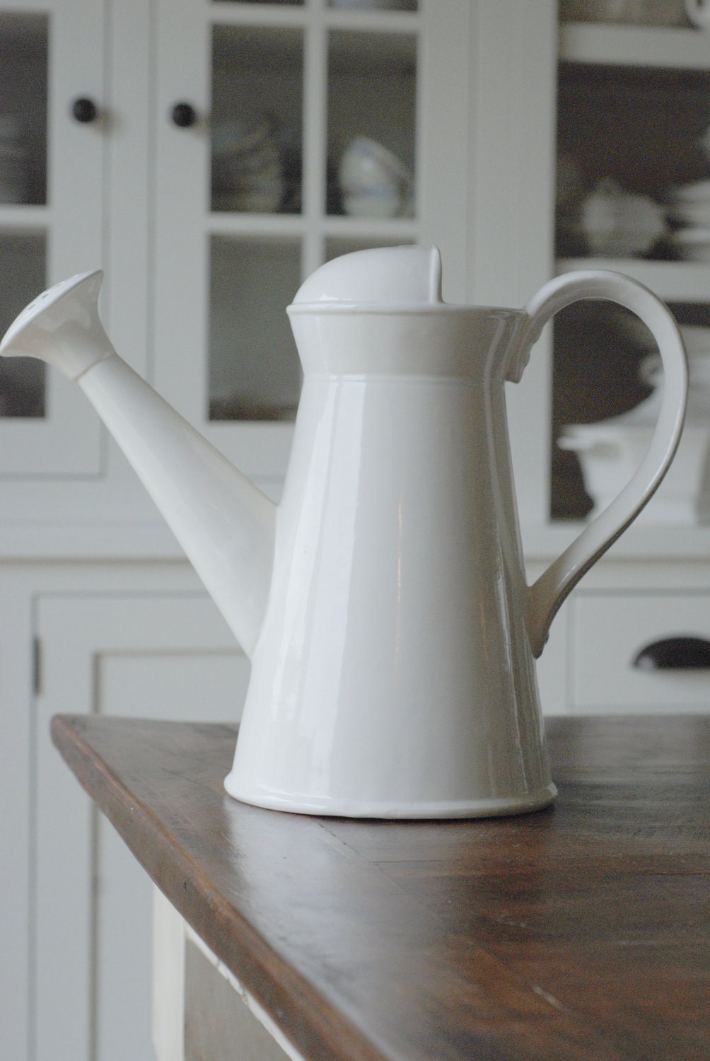 Watering Can Vase