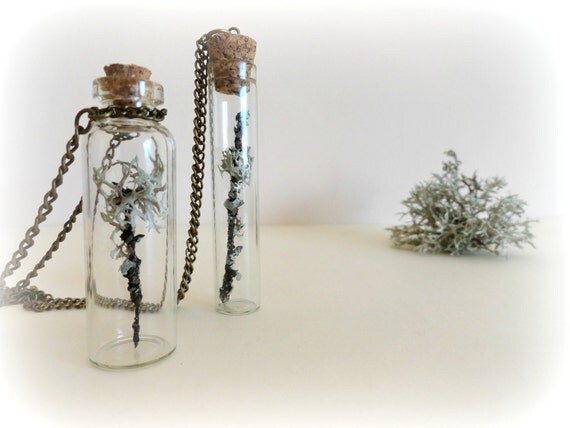 Lichen on twig -  vial necklace Botanical specimen curiosity bottle real preserbed plant flower mint green grey Gift for her