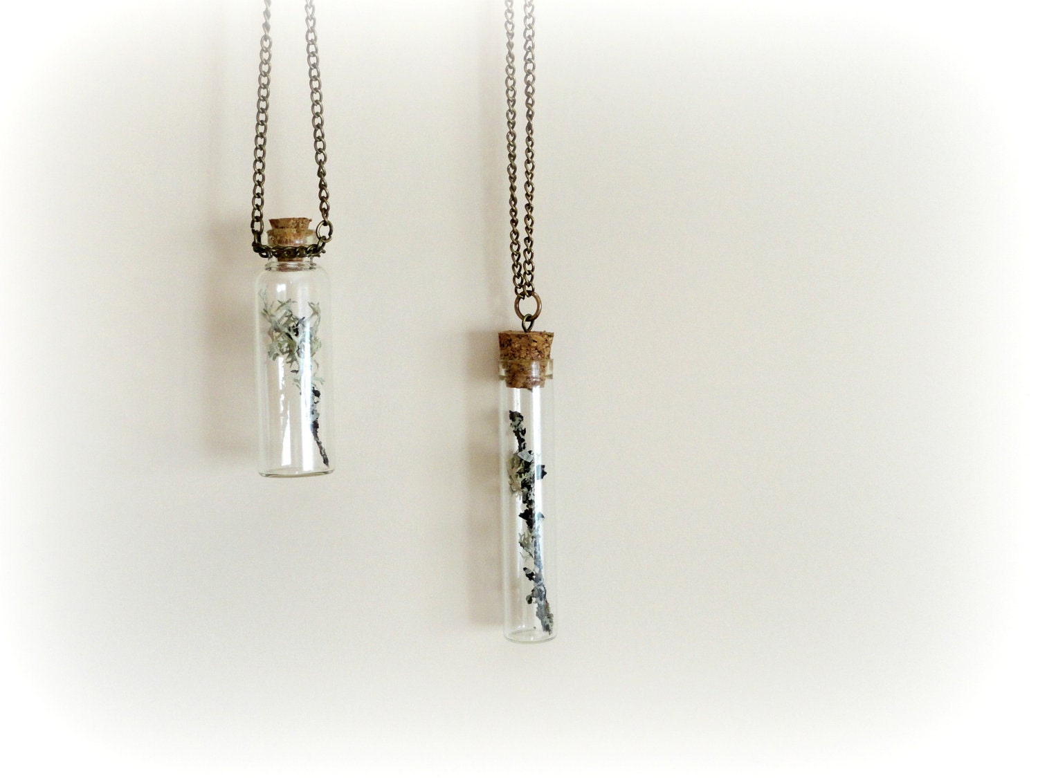 Lichen on twig -  vial necklace Botanical specimen curiosity bottle real preserbed plant flower mint green grey Gift for her