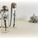 Lichen on twig -  vial necklace Botanical specimen curiosity bottle real preserbed plant flower mint green grey Gift for her