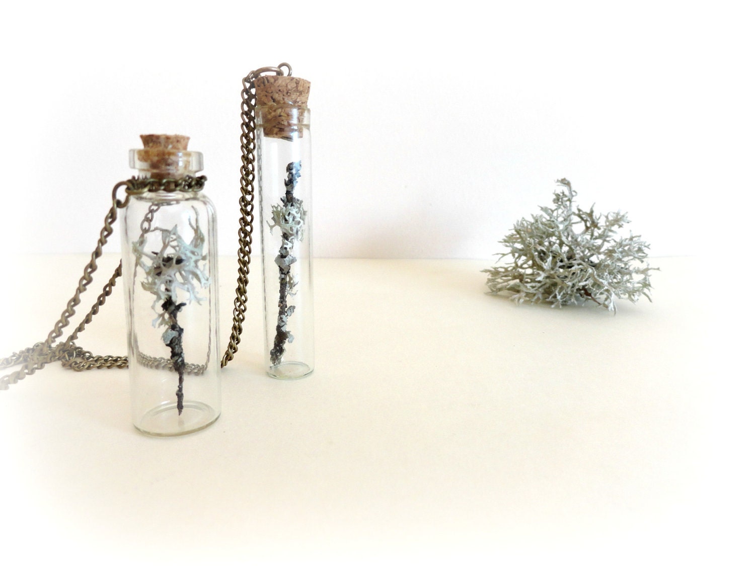 Lichen on twig -  vial necklace Botanical specimen curiosity bottle real preserbed plant flower mint green grey Gift for her