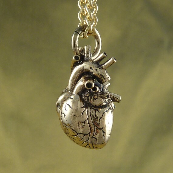 Anatomical Heart Necklace - Bronze Anatomical Heart Pendant on 24" Gold Plated Chain