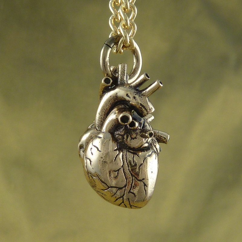 Anatomical Heart Necklace - Bronze Anatomical Heart Pendant on 24" Gold Plated Chain