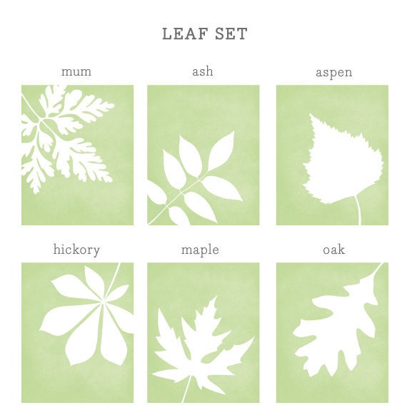 Leaf Set Art Print / Choose from Six Species / 8x10 / Wall Art Poster