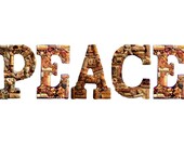 Customized Handmade Vintage Wine Cork Letter PEACE Wall Hanging - Vineyard Weddings, Shabby Chic, Home Decor, Party