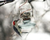 Upcycled Rustic Country Mason Jar Bird Feeder With Copper Hanger