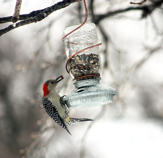 Upcycled Rustic Country Mason Jar Bird Feeder With Copper Hanger