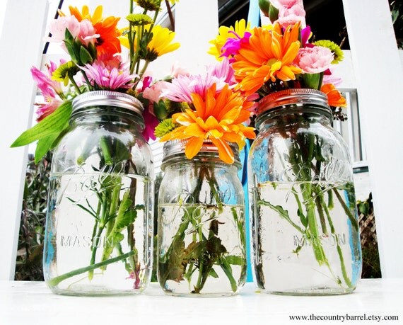Mason Jar Flower Vases With Frog Lids - Set of 10
