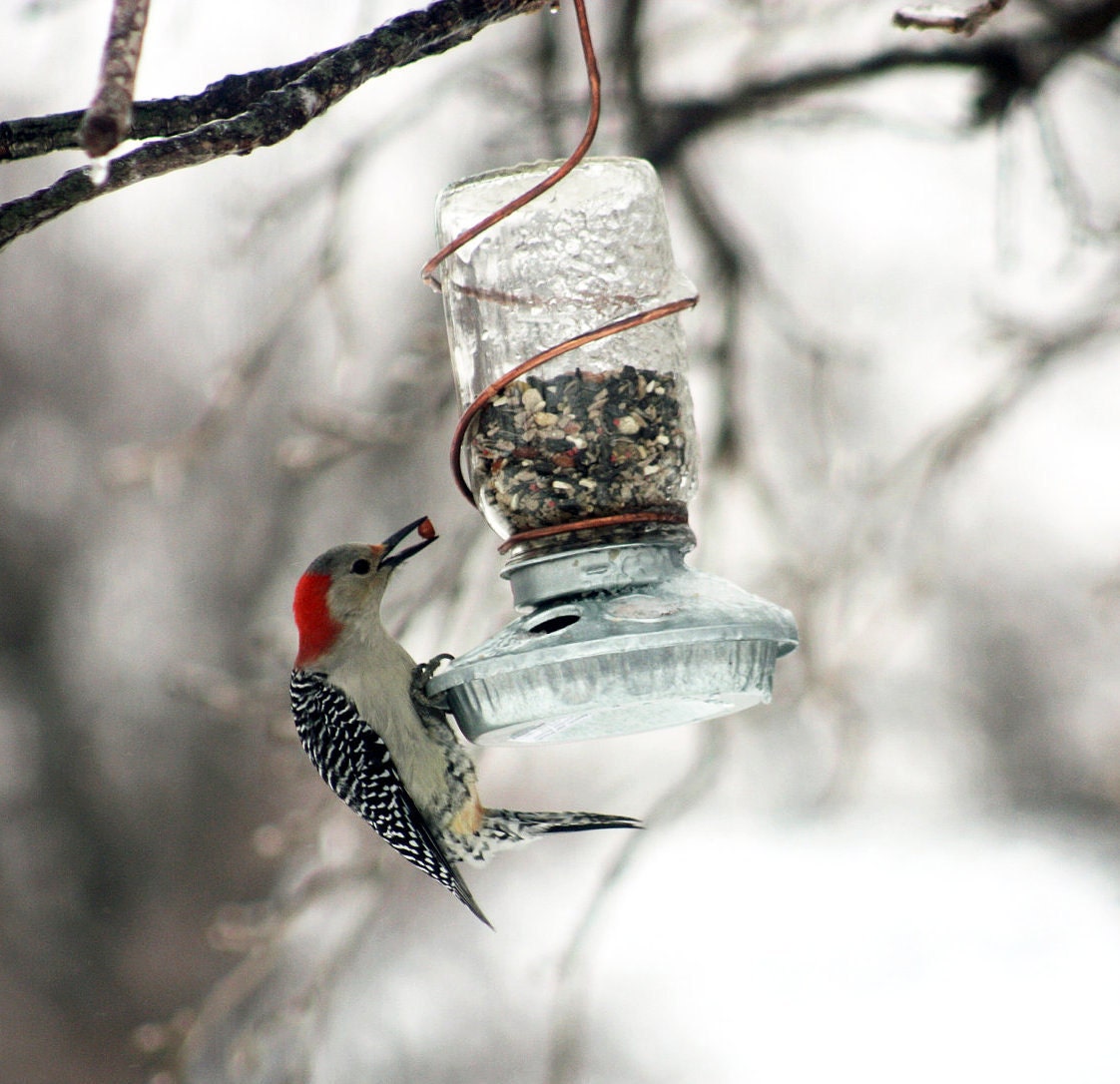 Upcycled Rustic Country Mason Jar Bird Feeder With Copper Hanger