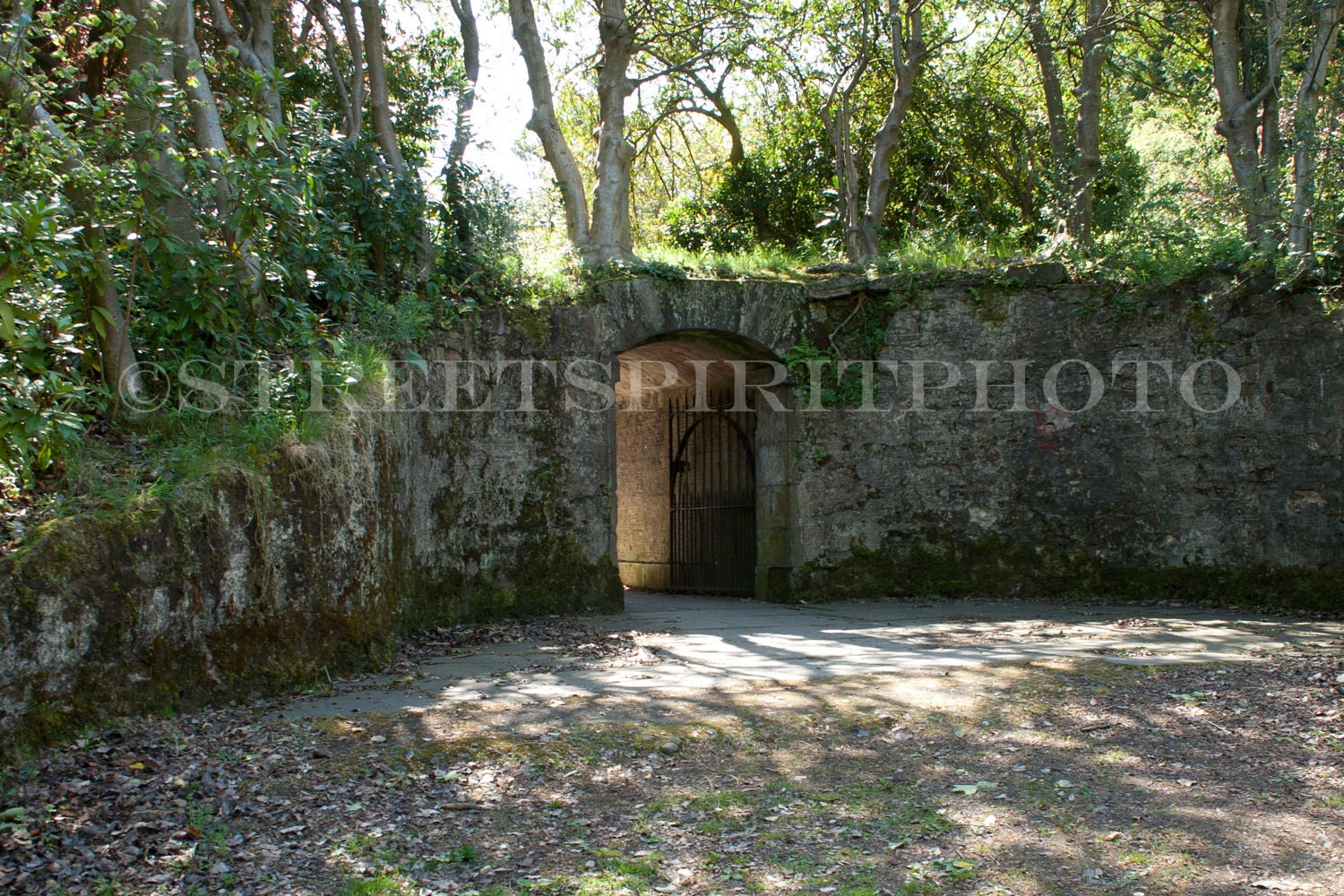 Gate To The Secret Garden
