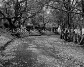 The Last Path