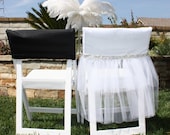 Viva Glam Bride and Groom Wedding Day Chair Covers