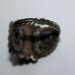 Egyptian Poison Ring Sterling Silver