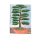 ACEO Original Watercolour - Bonsai Tree - 3