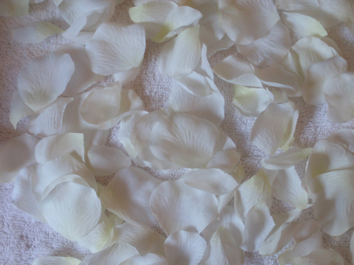 800 Silk Rose Petals IVORY Wedding Flower Decorations Party Decorations Bridal