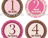 Baby Girl Monthly Onesie Stickers Plus Bonus Just Born - Brown Pink Rose Flowers Dots - 1-12 Months - Shower Gift