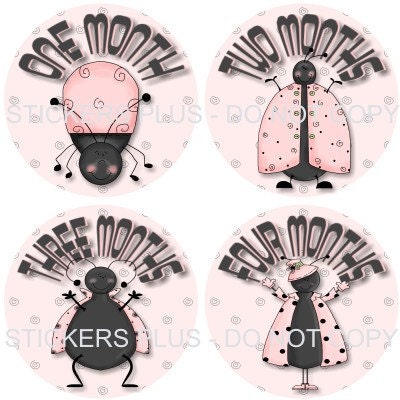 Monthly Onesie Baby Girl Stickers Pink Black Ladybugs Lady Bug - 1-12 Months PLUS Just Born - Shower Gift
